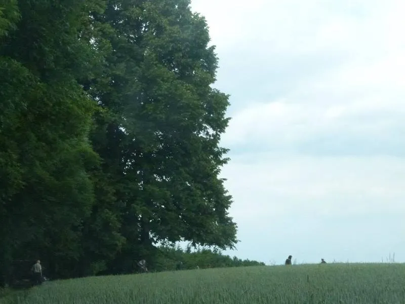 Sborová sena na Bzí (22. 6. 2014) — fotografie 1 z 10