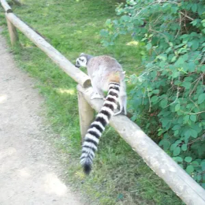 Rodičovský klub v ZOO (25. 5. 2011) — fotografie 3 z 16