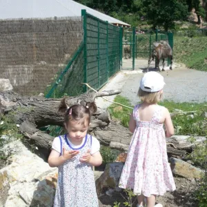 Rodičovský klub v ZOO (25. 5. 2011) — fotografie 4 z 16