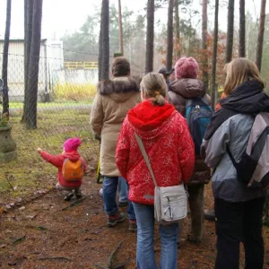 Výlet za smírčími kameny (17. 11. 2010) — fotografie 2 z 32