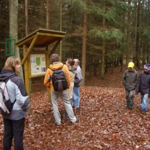Výlet za smírčími kameny (17. 11. 2010) — fotografie 31 z 32