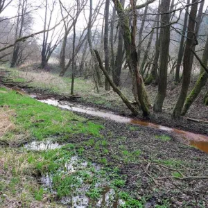 Výlet na Konstantinolázeňsko (29. 3. 2014) — fotografie 2 z 14