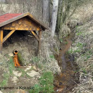 Výlet na Konstantinolázeňsko (29. 3. 2014) — fotografie 3 z 14