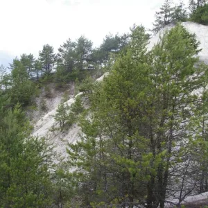 Sborový výlet do Ledců (25. 6. 2011) — fotografie 9 z 16