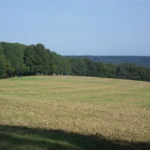 Bzí 2011 (11. 9. 2011) — fotografie 2 z 41