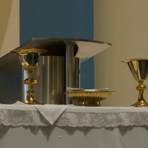Bzí 2014 (14. září 2014) — fotografie 5 z 12