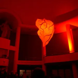 Festival světla (20.–21. 2. 2015) — fotografie 6 z 9