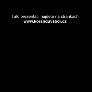 Prezentace „Kostel Korandova sboru v Plzni“ — fotografie 69 z 72