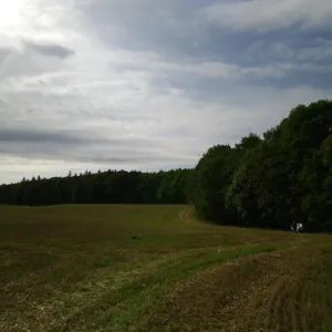 Bzí 2019 – 600. výročí (14. září 2019) — fotografie 23 z 65
