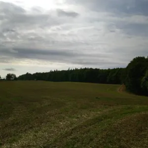 Bzí 2019 – 600. výročí (14. září 2019) — fotografie 34 z 65