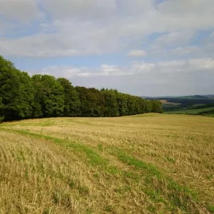 Bzí 2019 – 600. výročí (14. září 2019) — fotografie 64 z 65